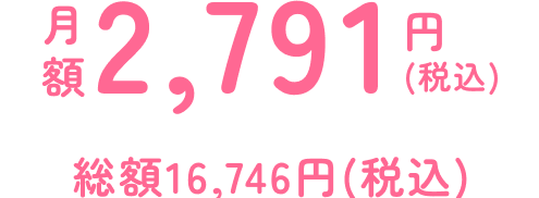 3828円税込/月