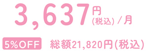 3637円税込/月