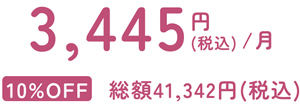 3445円税込/月