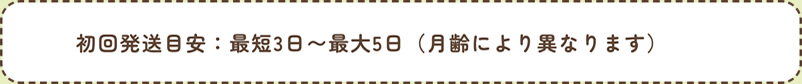全てのプランに含まれるもの